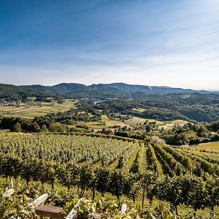 Krška Vas Sleme Houseゲストハウス エクステリア 写真